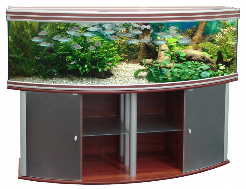 akvarium-aquatlantis-elite-horizon-200.jpg