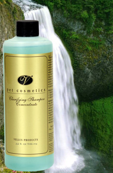 Clarifying Shampoo Concentrate