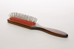 Oblong Pin Brush