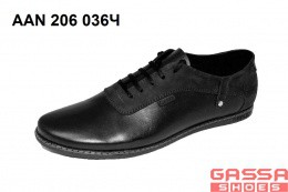 1450. AAN-206-036