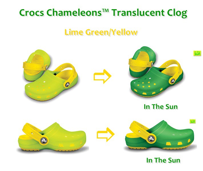 0072   Chameleons Lime Green - Yellow 808 ..JPG
