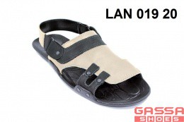 800. LAN-019-20