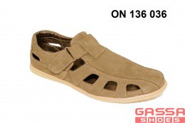 1450. ON-136-036