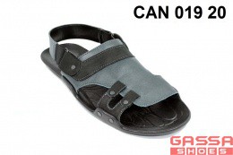 800. CAN-019-20