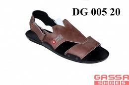 800. DG-005-20