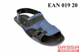 800. EAN-019-20