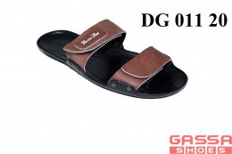 525. DG-011-20