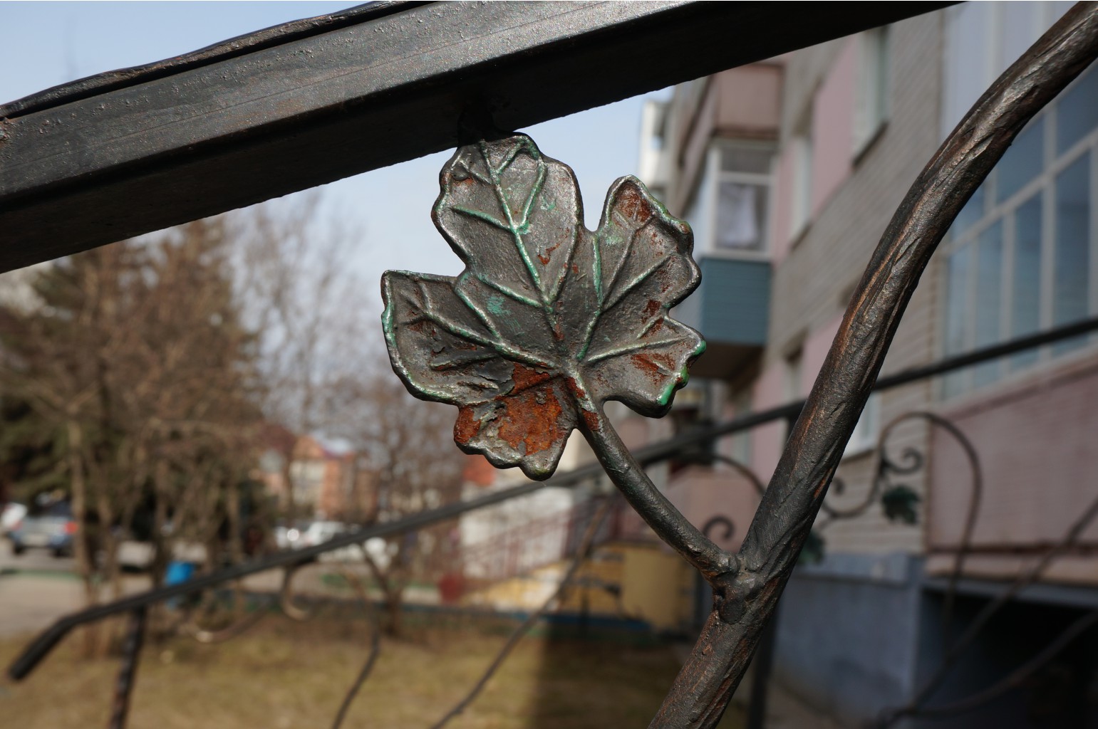 DSC01123.JPG