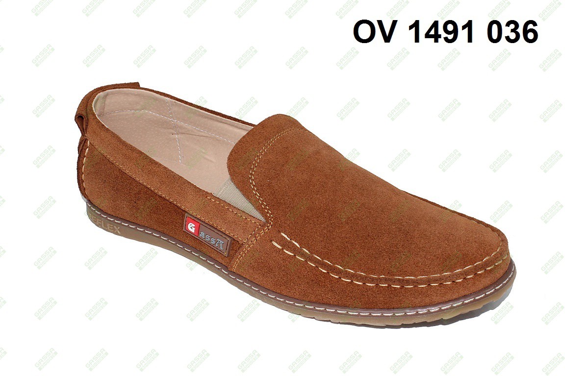 1450. OV-1491-036