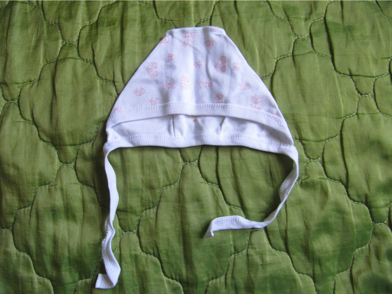 img7233.JPG