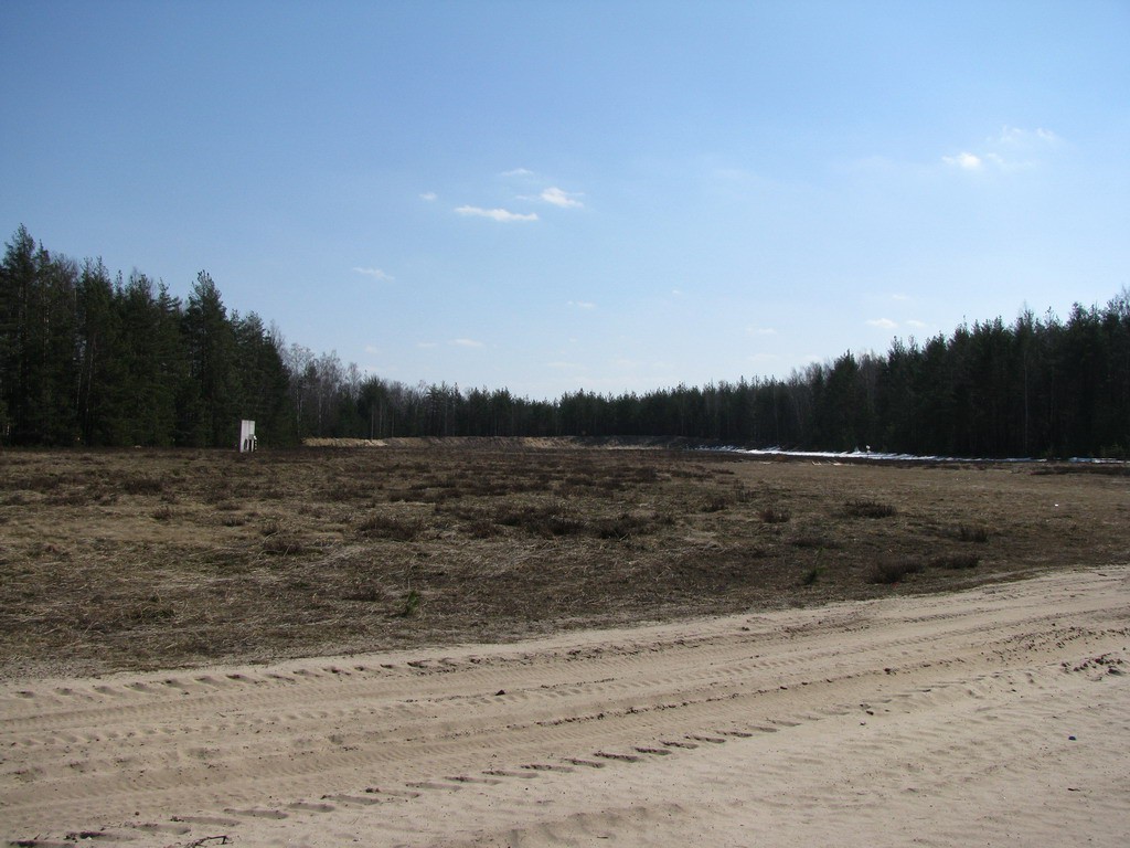 MG_6248.jpg
