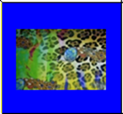 image033.png