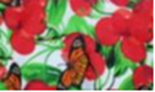 image058.png