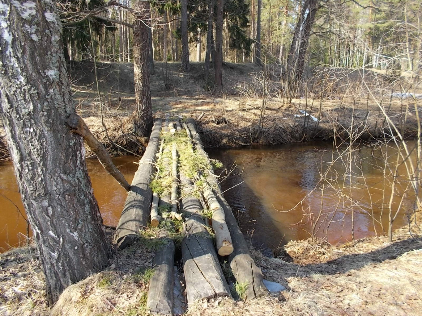 DSCN5347.JPG