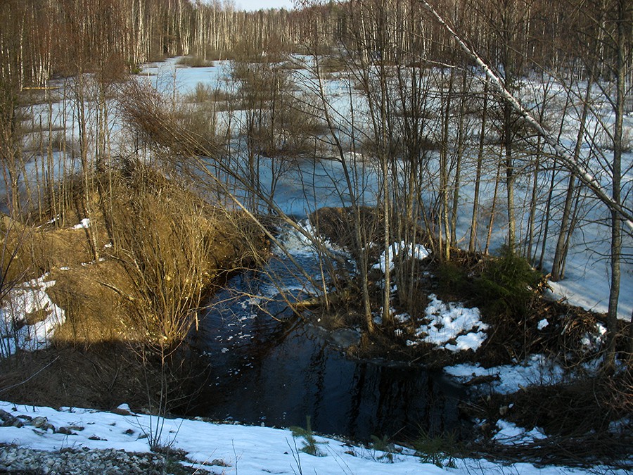 IMG_1112.jpg