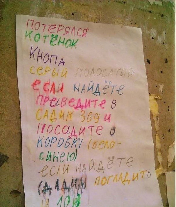 2767805-R3L8T8D-600-1188555-R3L8T8D-600-1375892986_w.jpg