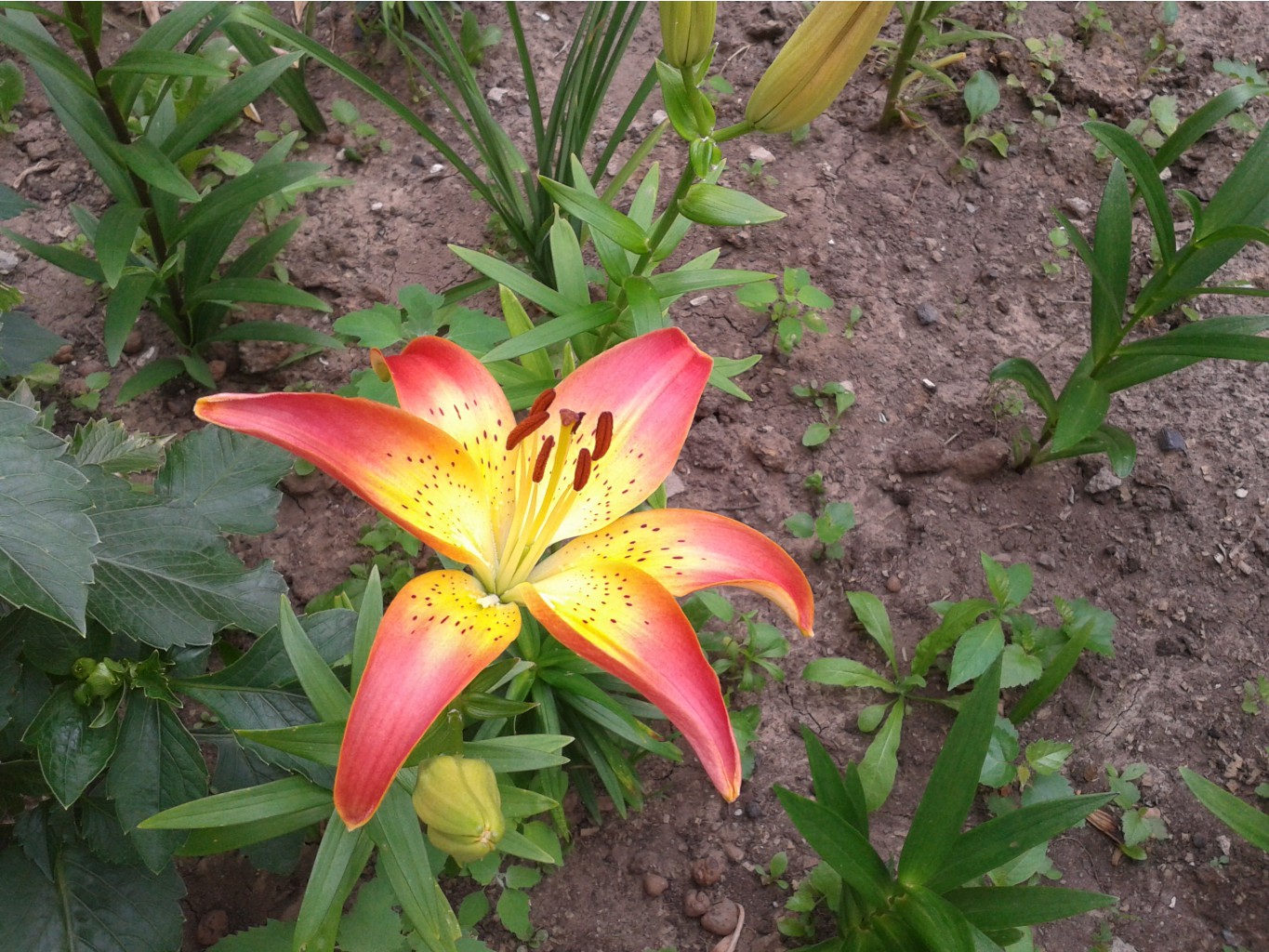 2013-07-07 14.00.10.jpg