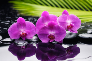 Y1001 60-90 50-75.png