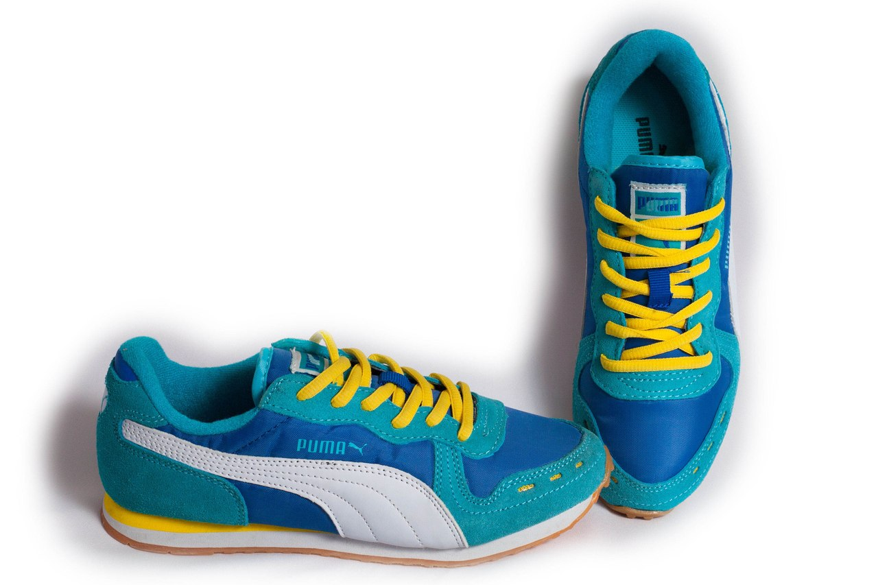 Puma sp-1