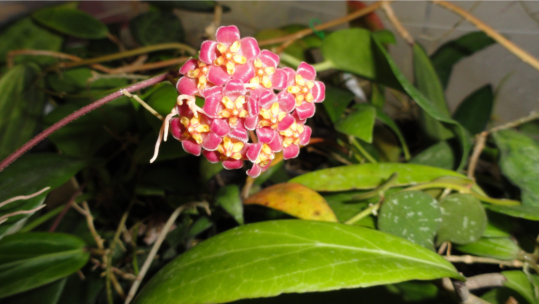 DSC07130.JPG