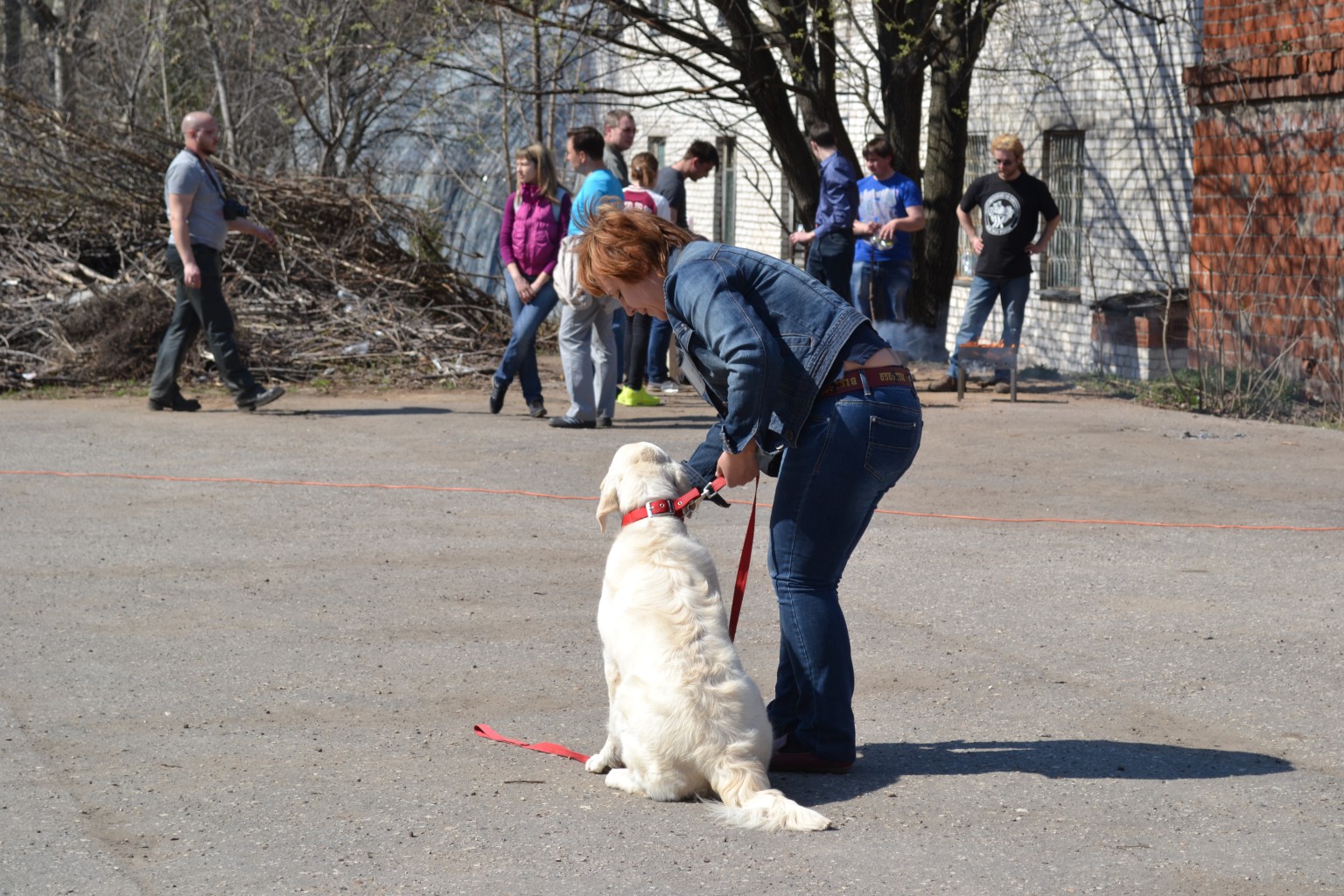 DSC_0100[1].JPG