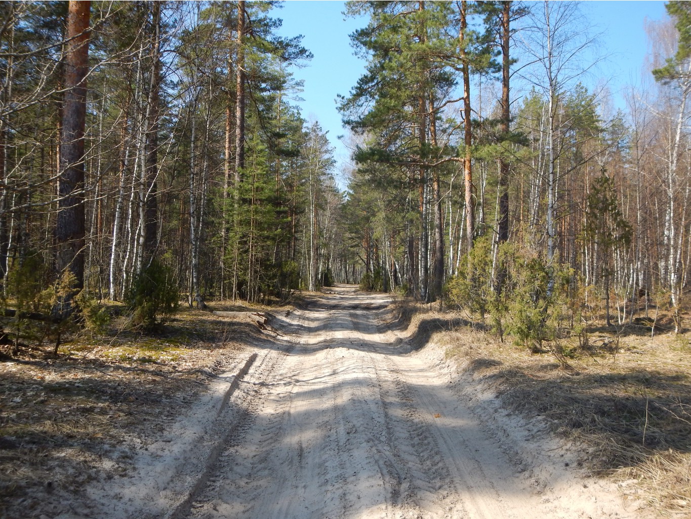 DSCN0116.JPG