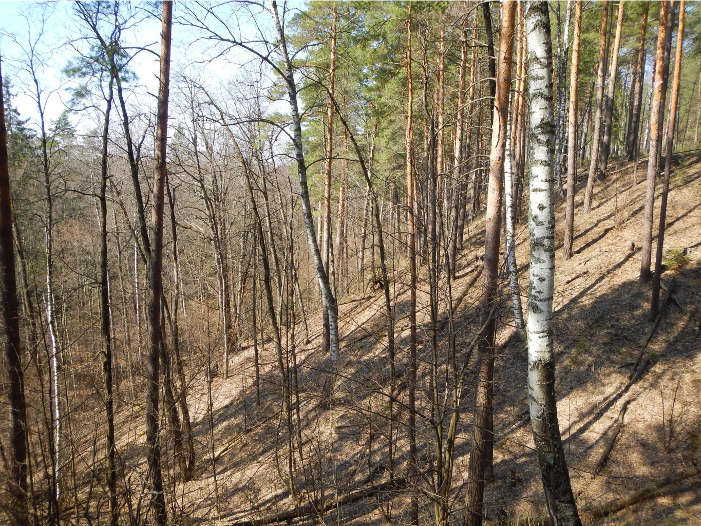 DSCN0127.JPG