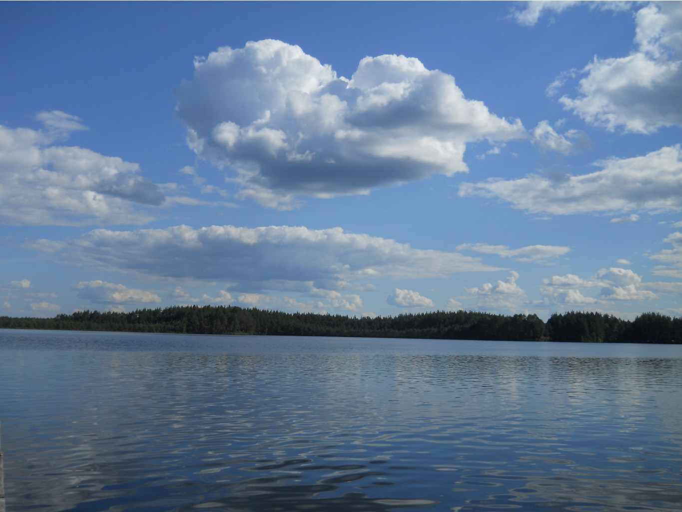 DSCN1455.JPG