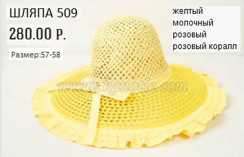 509.jpg