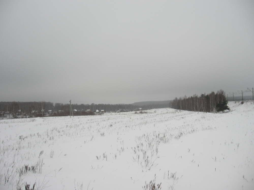поле