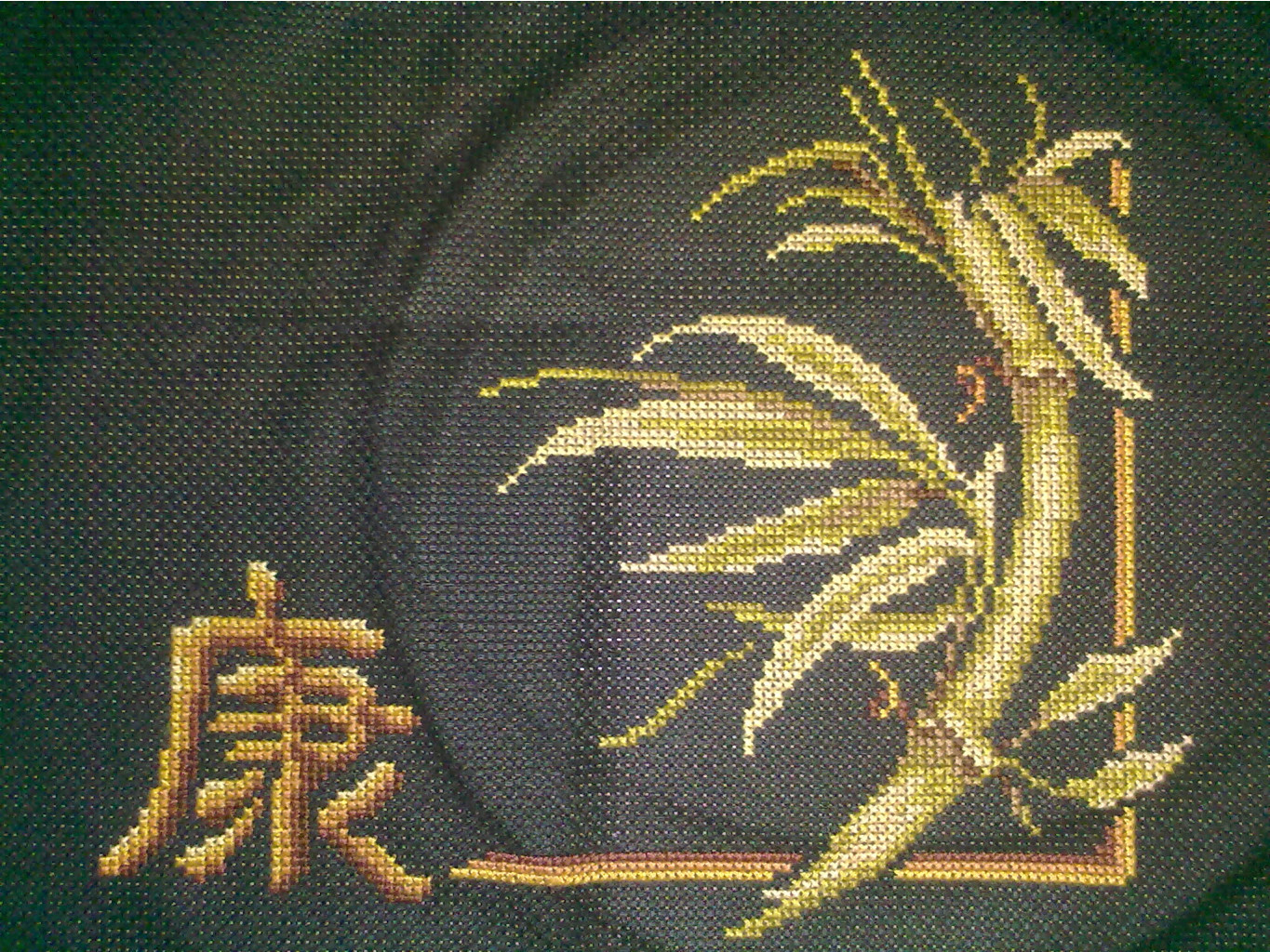 06102011921.jpg