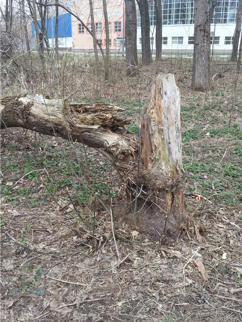 20140423_090228.jpg