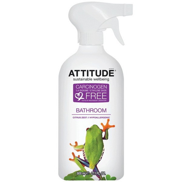 Attitude      800  305 ..jpg