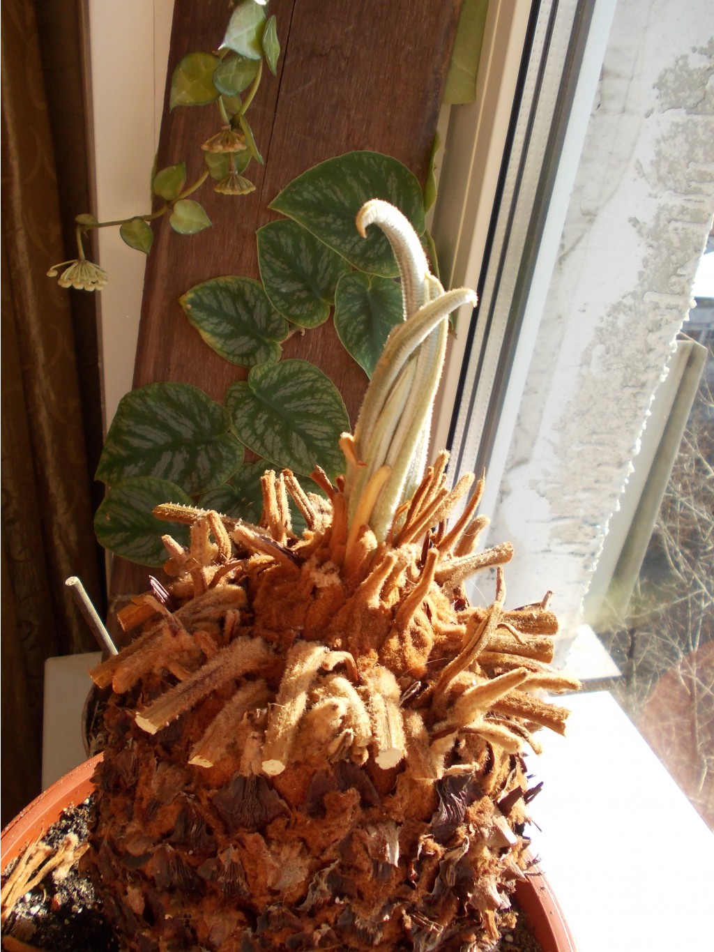 DSCN0039.JPG