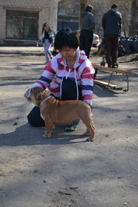 DSC_2743.JPG