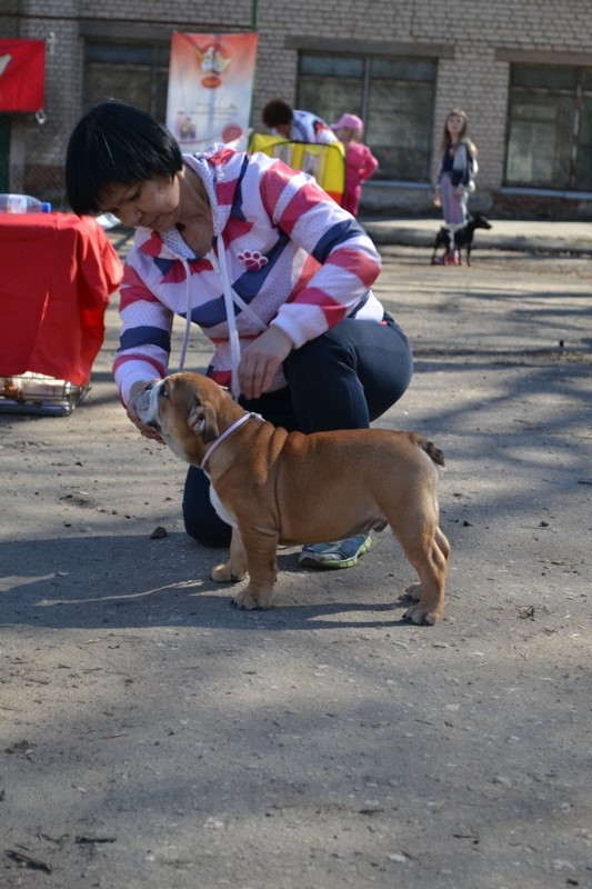 DSC_2740.JPG