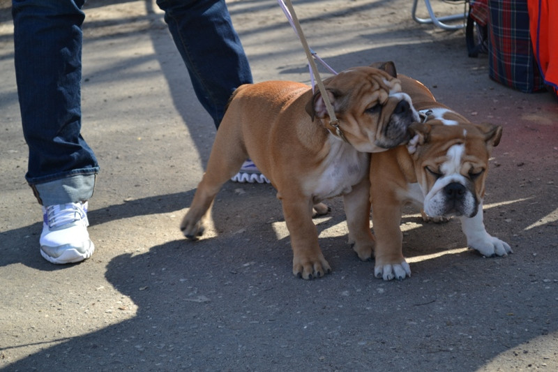 DSC_2761.JPG