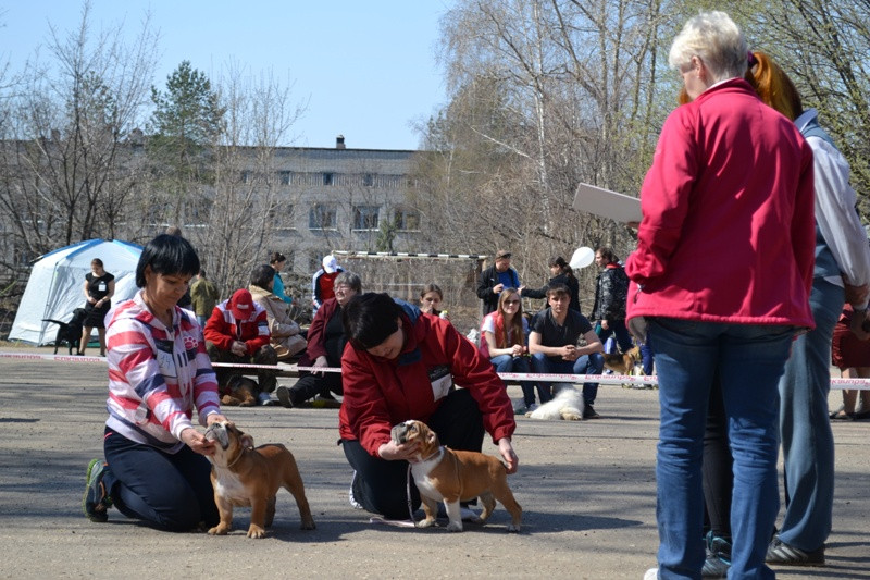 DSC_2783.JPG