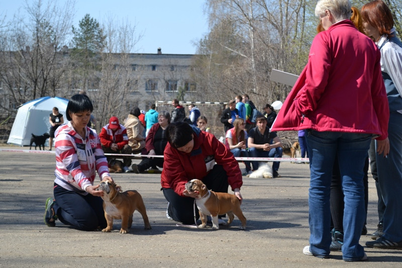 DSC_2784.JPG