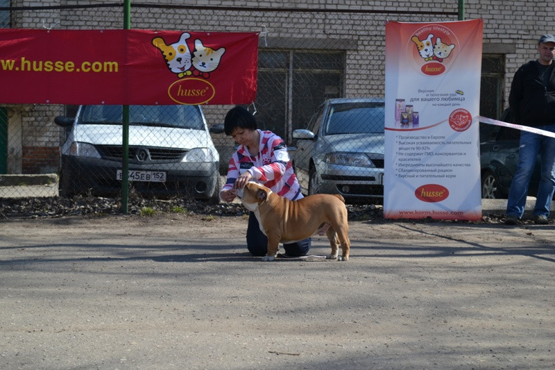 DSC_2793.JPG