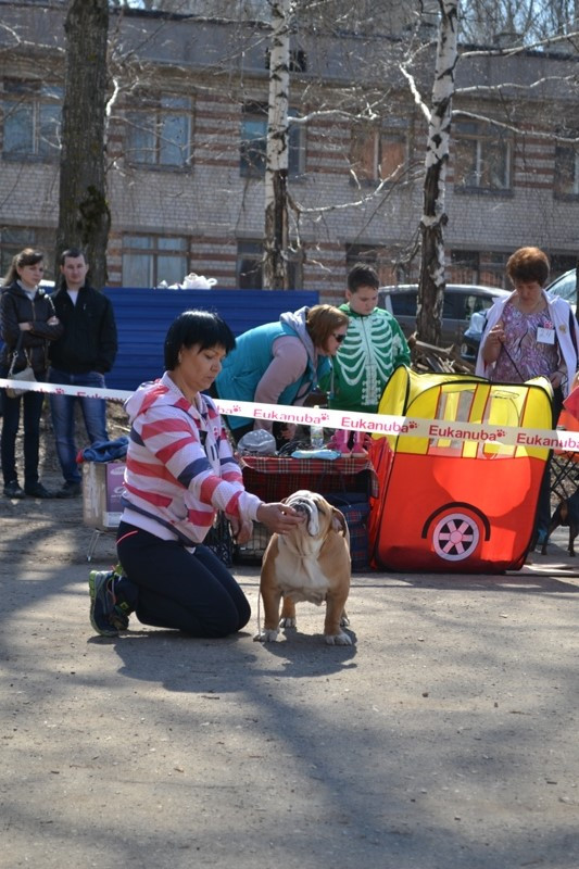 DSC_2795.JPG