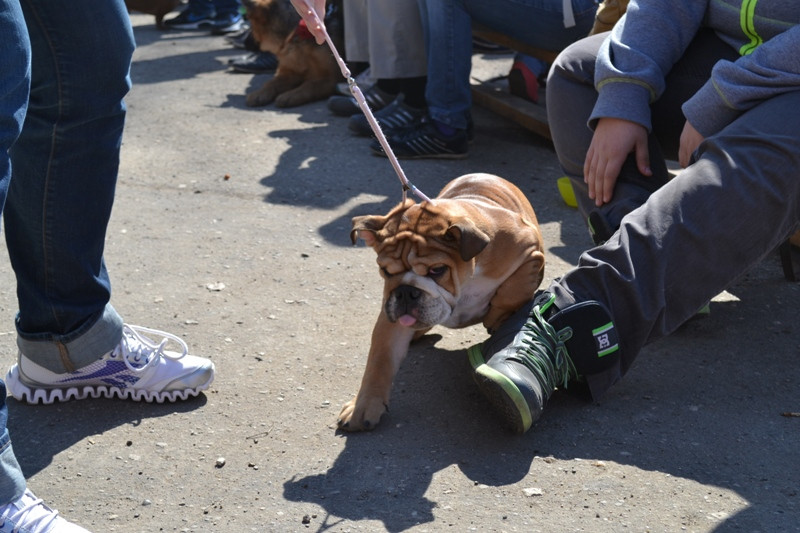 DSC_2823.JPG