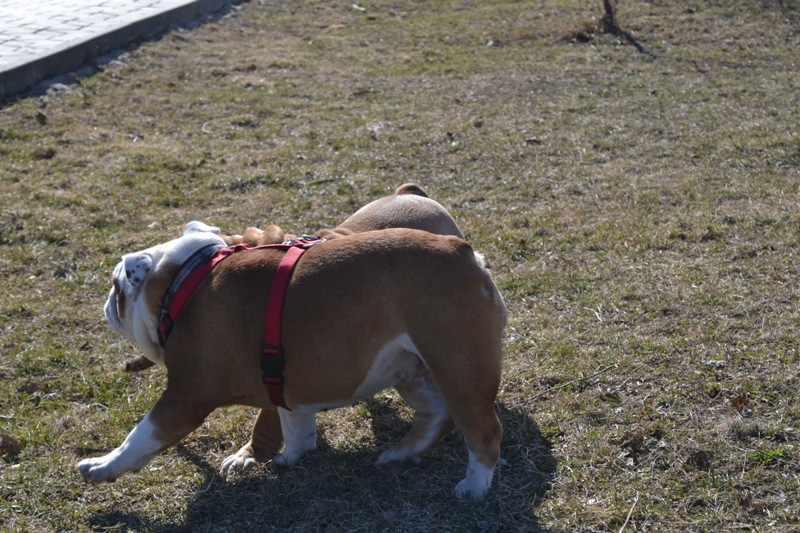 DSC_2576.JPG