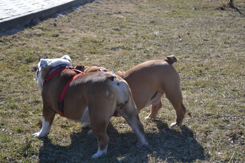 DSC_2577.JPG