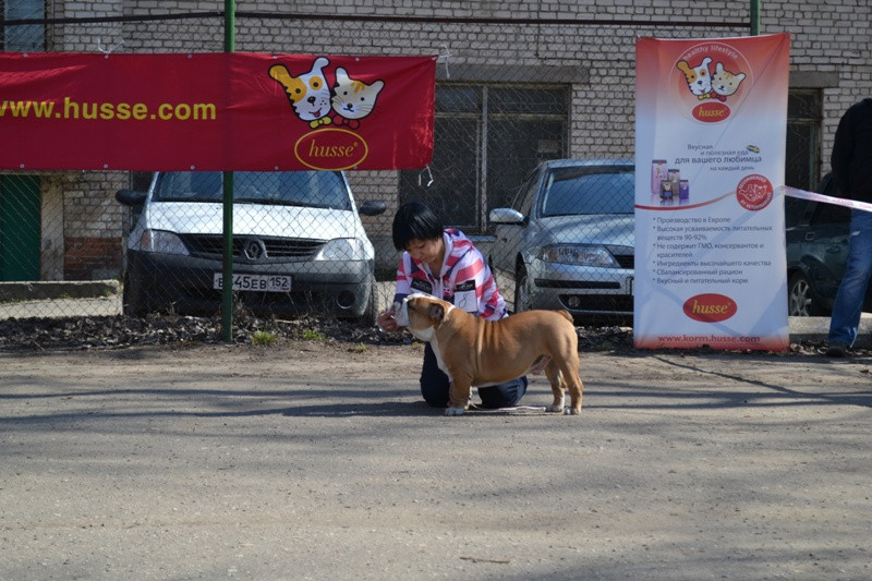 dsc2794.JPG