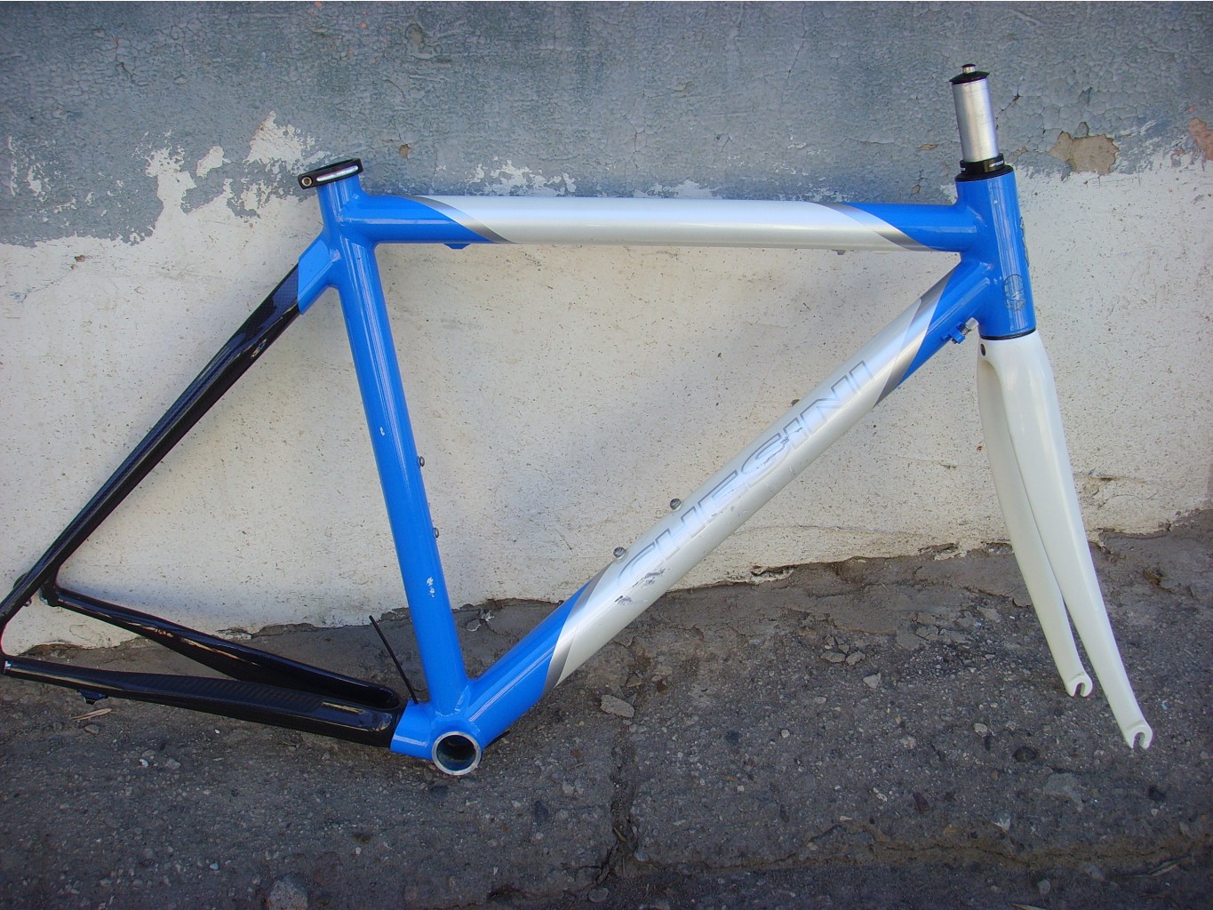SSL22890.JPG