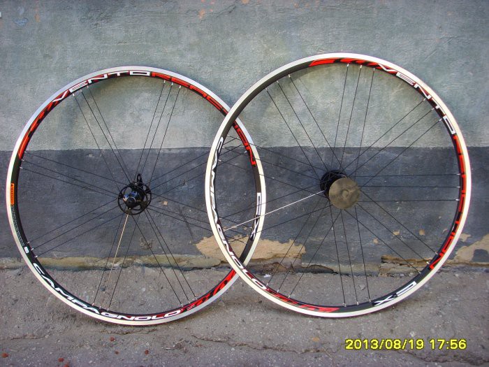 8645573.SSL22090.jpg