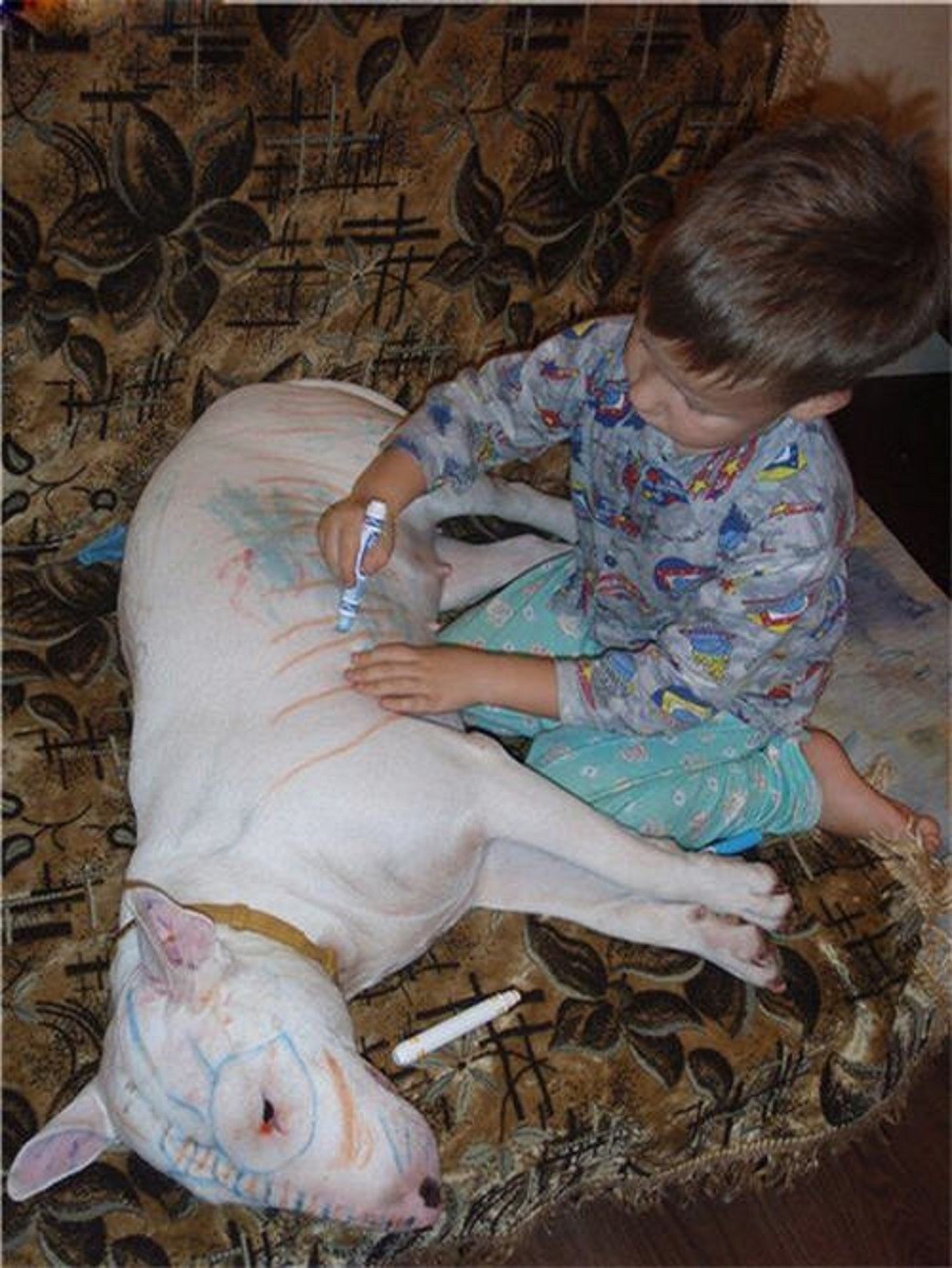 bull-terrier-coloring.jpg