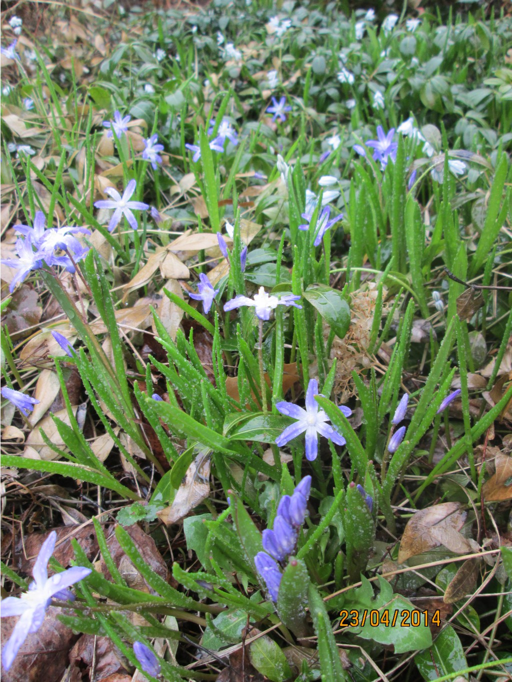 IMG_2031.JPG