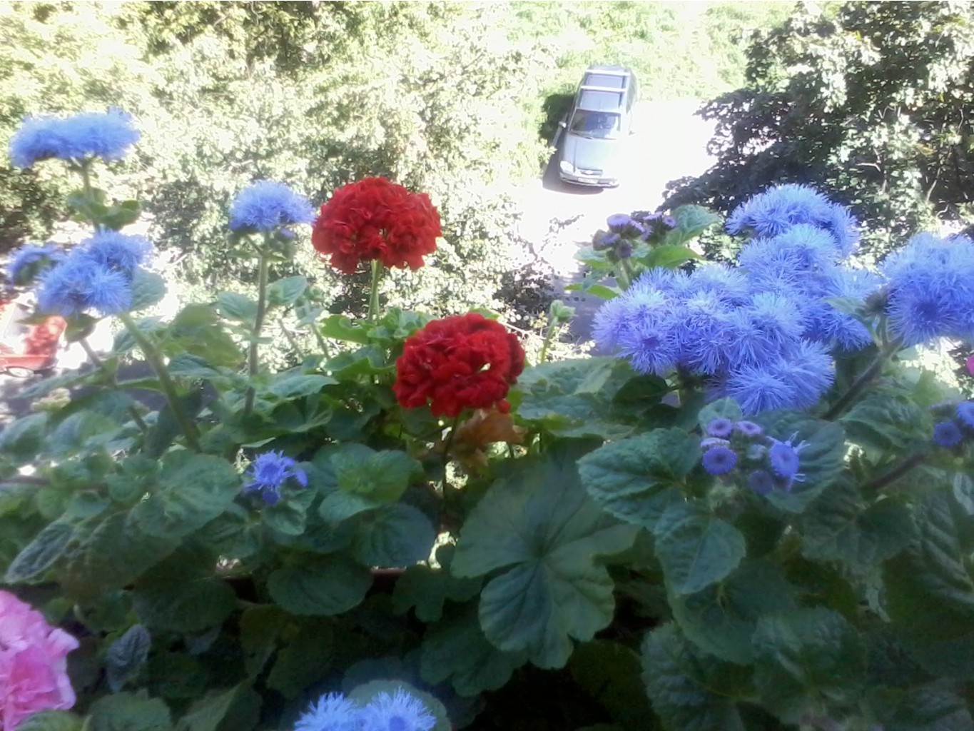 20130817_130001.jpg